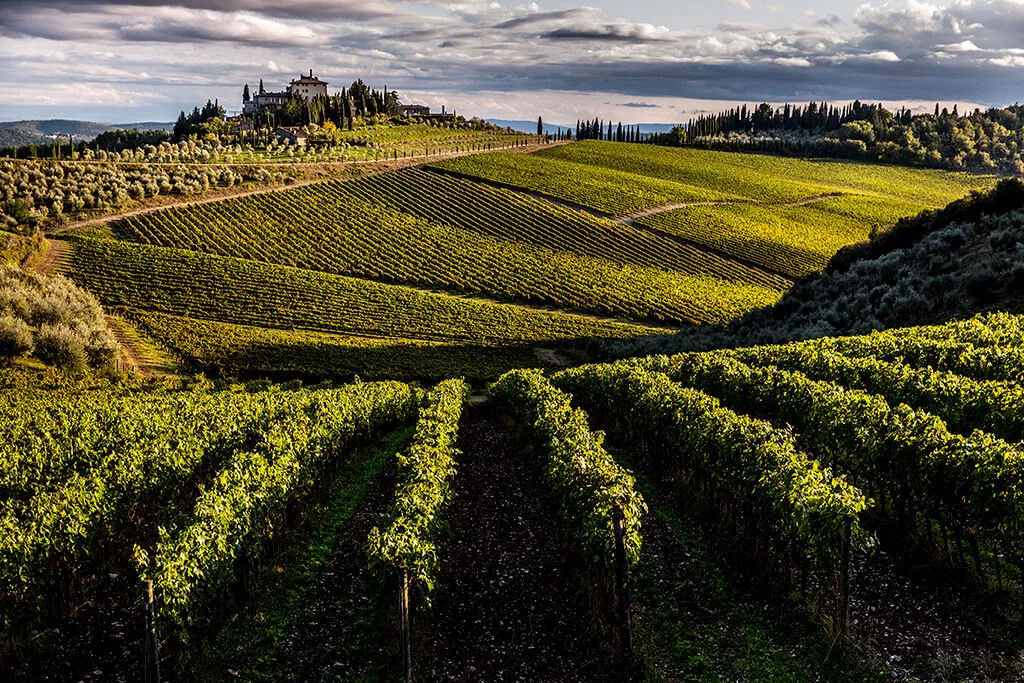 Tenuta Perano