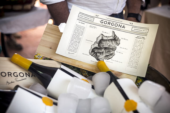 Gorgona Rosso