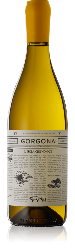 Gorgona