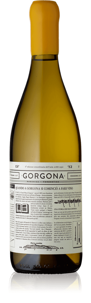 Gorgona