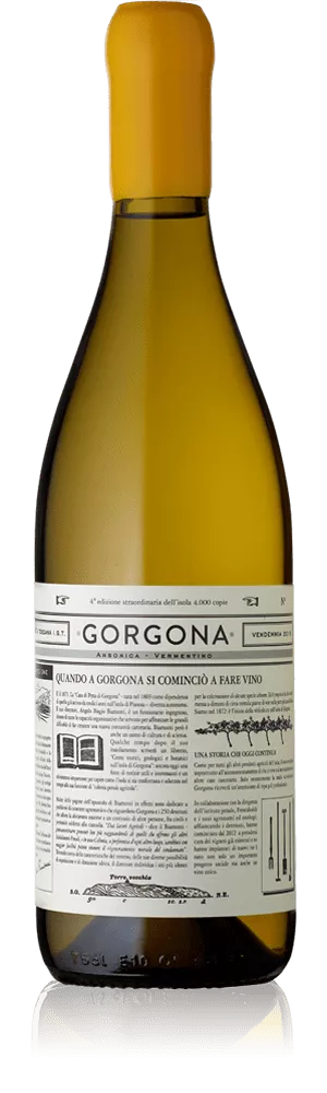 Gorgona