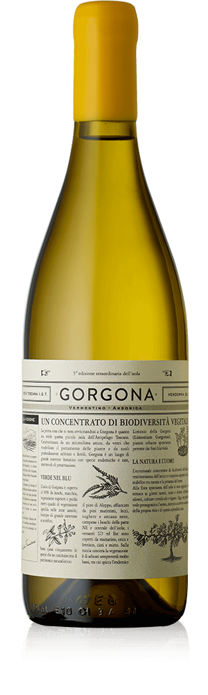 Gorgona