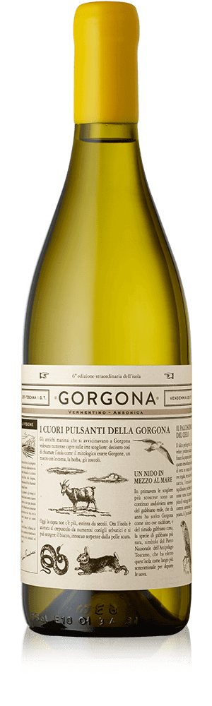 Gorgona