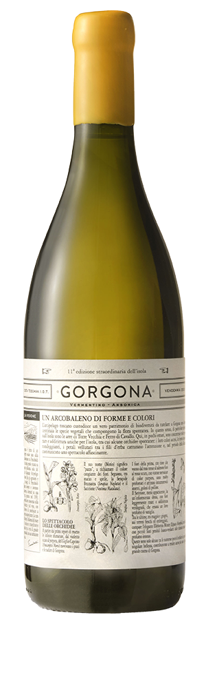 Gorgona